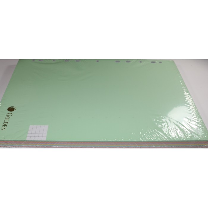 Recambio cuadrícula golden