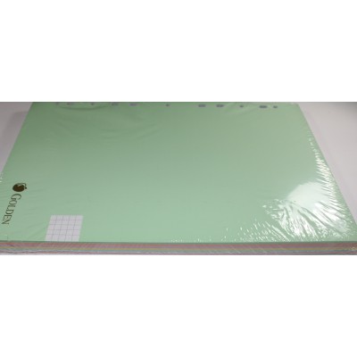 Recambio cuadrícula golden